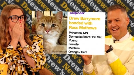 Drew and Ross and the Cat Drew Barrymore