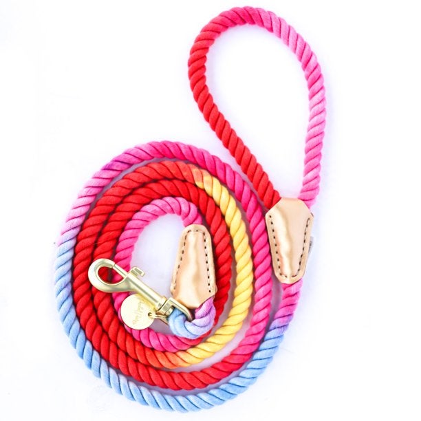 Rainbow Rope Leash