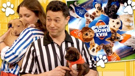 Drew & Dan Schachner