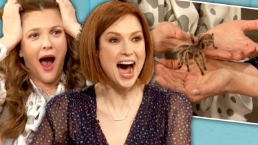 Drew Helps Ellie Kemper Face Her Fear of Tarantulas 