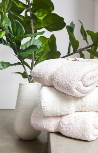 Barefoot Dreams Blanket